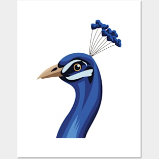 Peacock head art Posters and Art